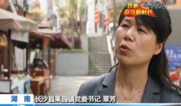 长沙最新事件爆料新闻视频,视频揭秘惊人真相，引发社会关注